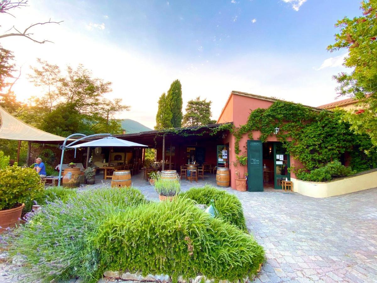 Aparthotel Agriturismo Terenzana Riparbella Exteriér fotografie