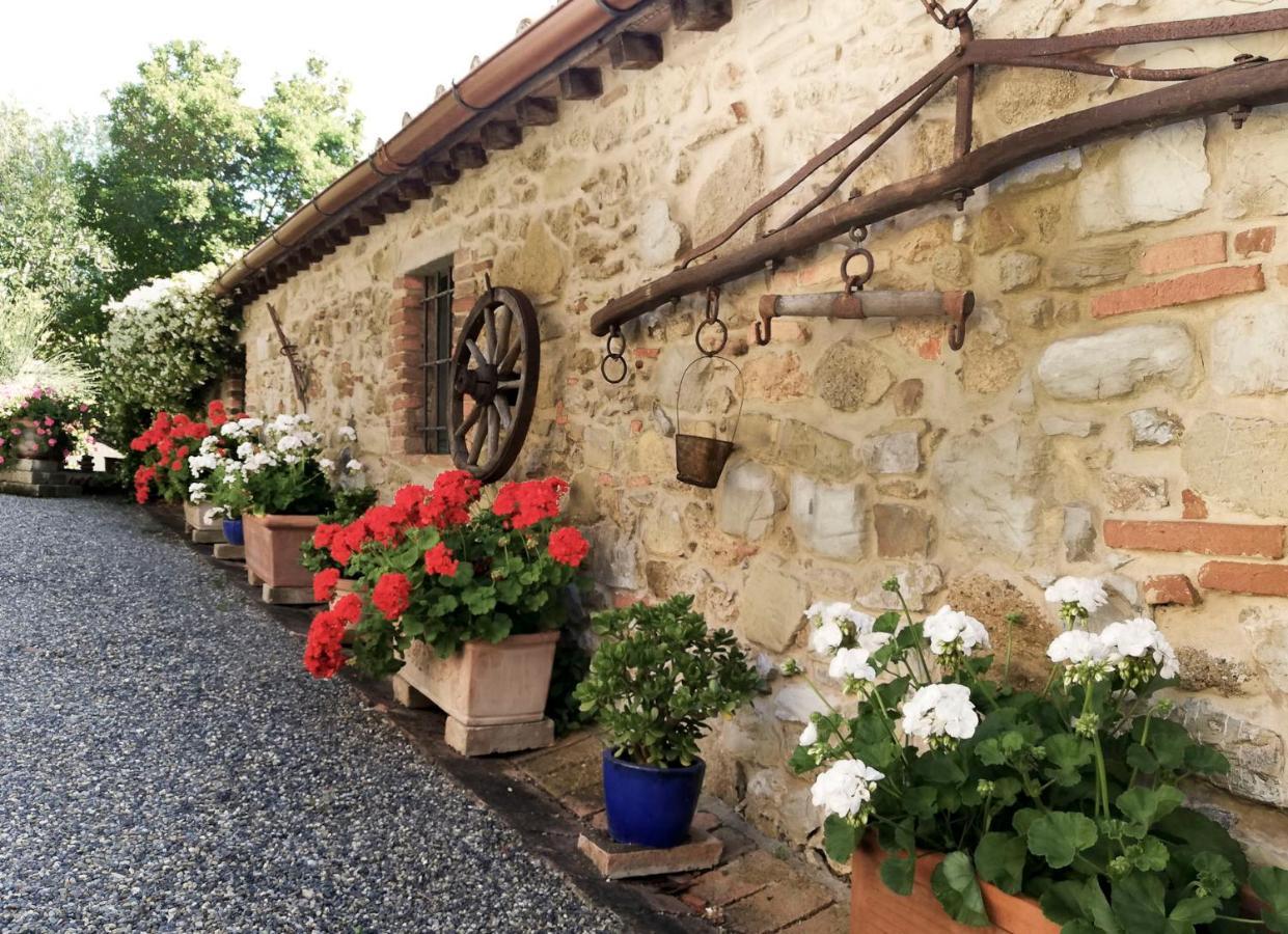Aparthotel Agriturismo Terenzana Riparbella Exteriér fotografie